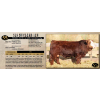 Image 1 : SKYLINE SIMMENTALS