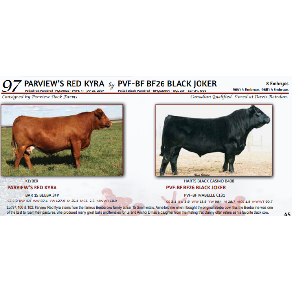 PARVIEW’S RED KYRA by PVF-BF BF26 BLACK JOKER -  4 Embryos