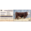Image 1 : ROSEFIELD NADINE 213N