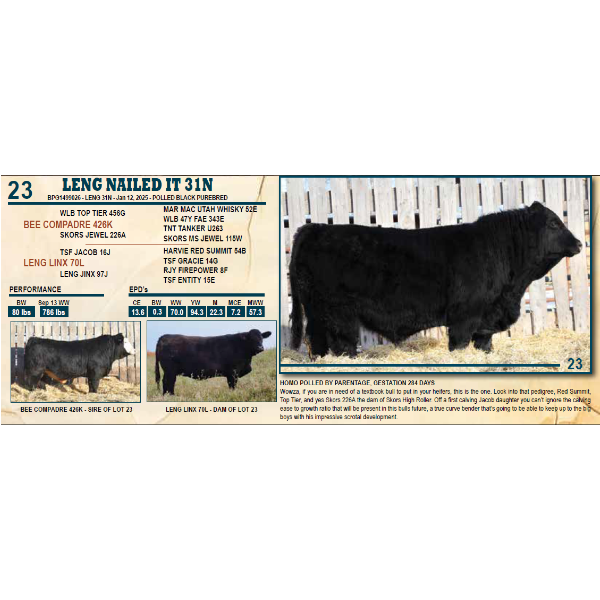LENG NAILED IT 31N