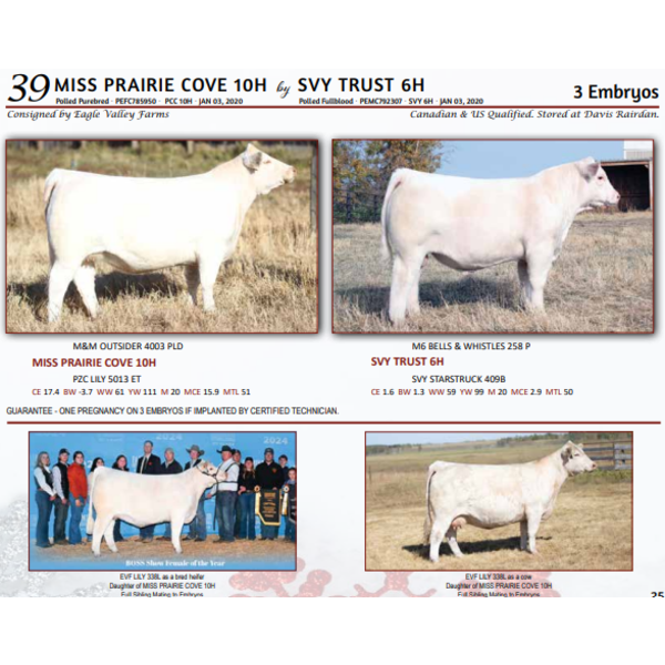 MISS PRAIRIE COVE 10H by SVY TRUST 6H - 3 Embryos 