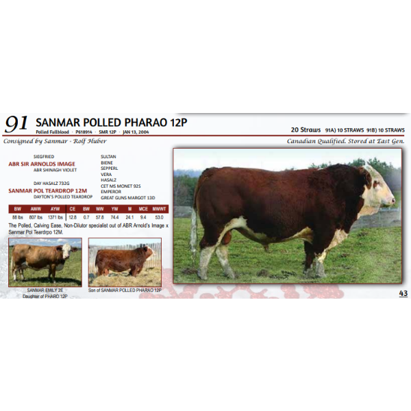 SANMAR POLLED PHARAO 12P - 10 STRAWS 