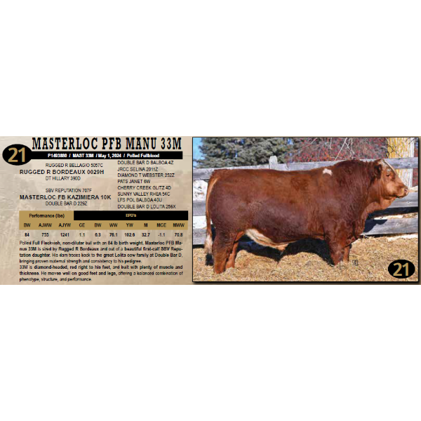 Masterloc Simmentals