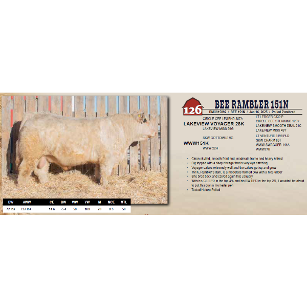 BEE RAMBLER 151N