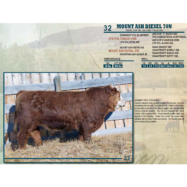 MOUNT ASH DIESEL 70N