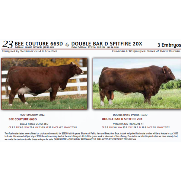 BEE COUTURE 663D by DOUBLE BAR D SPITFIRE 20X - 3 Embryos 