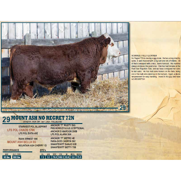 MOUNT ASH NO REGRETS 72N