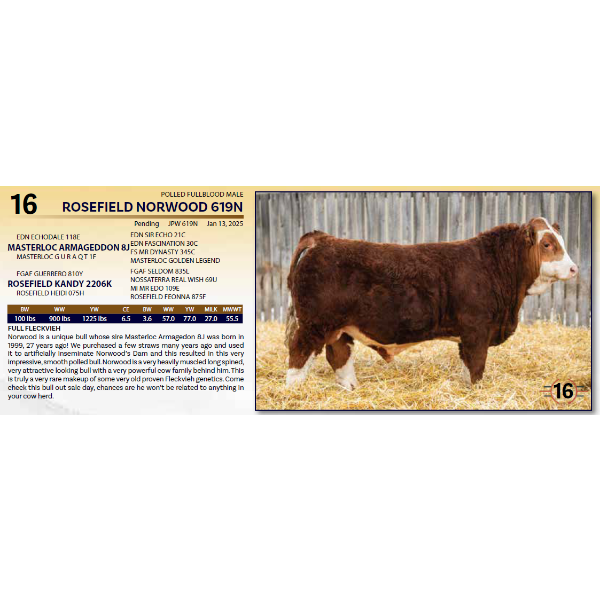 ROSEFIELD NORWOOD 619N