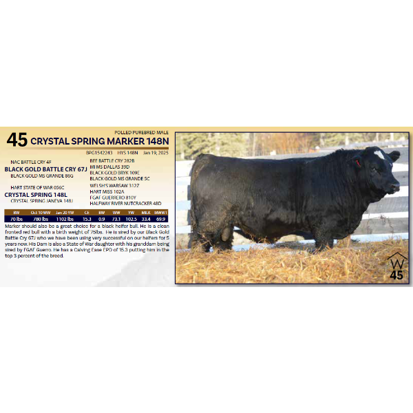 CRYSTAL SPRING MARKER 148N 