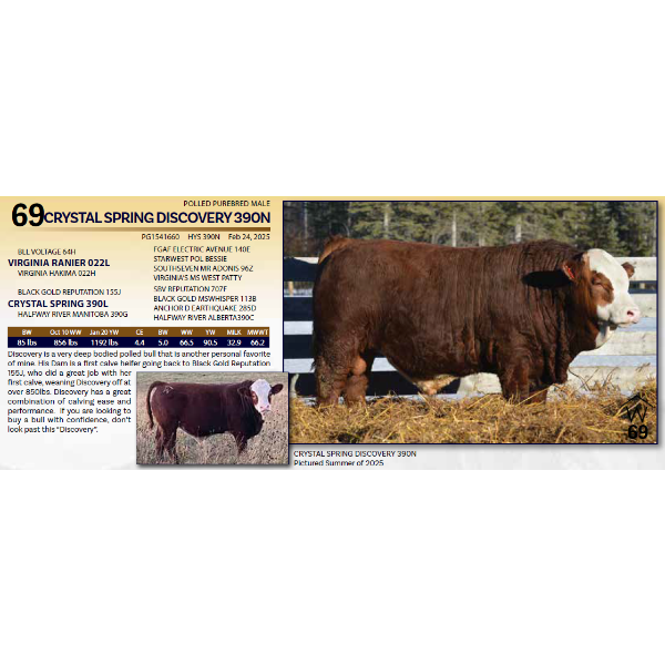 CRYSTAL SPRING DISCOVERY 390N