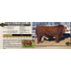 Image 1 : Masterloc Simmentals