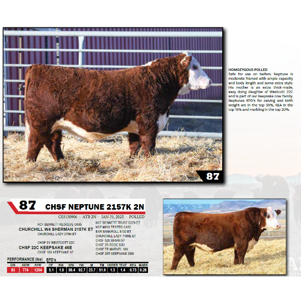 CHSF NEPTUNE 2157K 2N