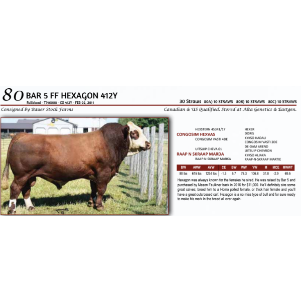 BAR 5 FF HEXAGON 412Y - 10 STRAWS 