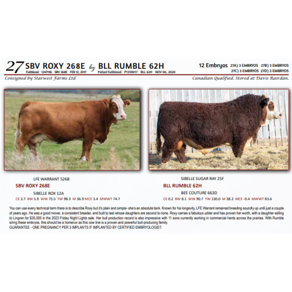 SBV ROXY 268E by BLL RUMBLE 62H -  3 EMBRYOS 