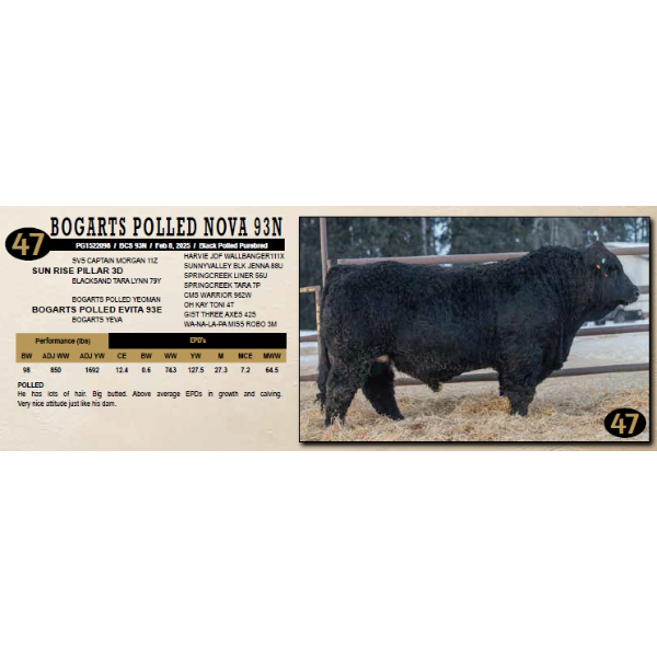 Diamond B Simmentals