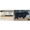 Image 1 : Diamond B Simmentals
