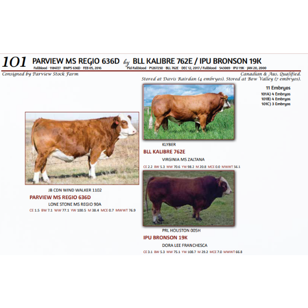 PARVIEW MS REGIO 636D by BLL KALIBRE 762E / IPU BRONSON 19K - 4 Embryos 