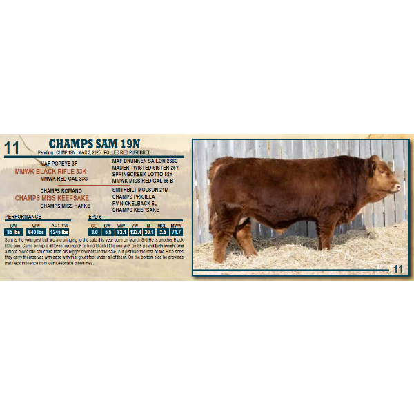 CHAMPS SAM 19N