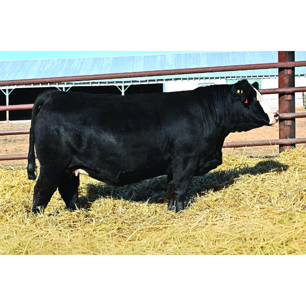 Clearwater Farms Ltd 