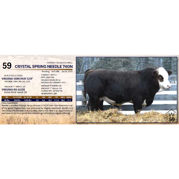 CRYSTAL SPRING NEEDLE 740N