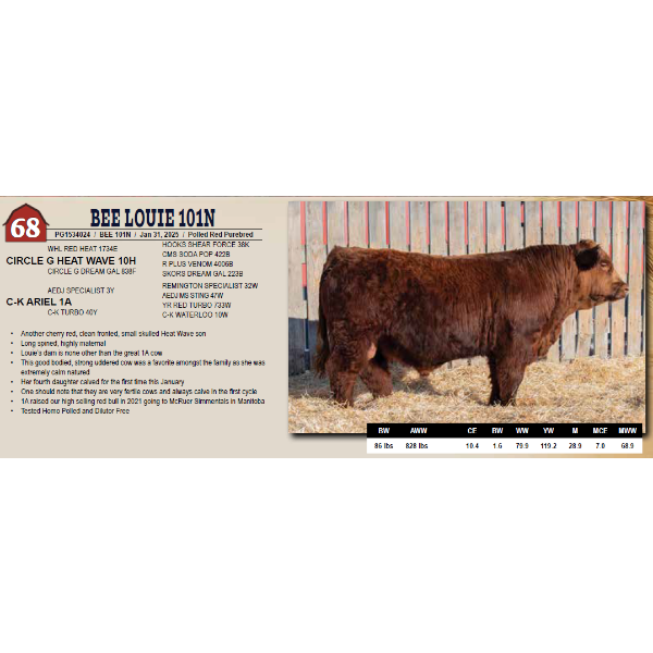 BEE LOUIE 101N