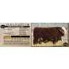 Image 1 : LANGER FLECKVIEH SIMMENTALS