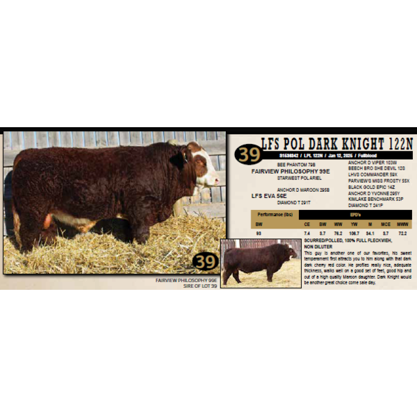 LANGER FLECKVIEH SIMMENTALS