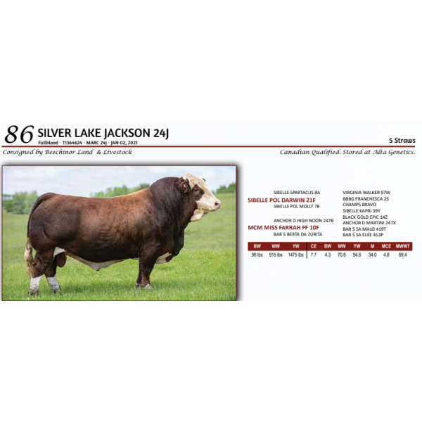 SILVER LAKE JACKSON 24J - 5 Straws .