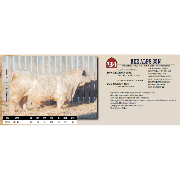 BEE ALPS 35N