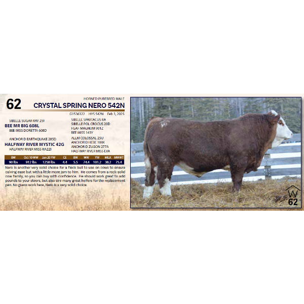 CRYSTAL SPRING NERO 542N