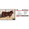 Image 1 : RED TOP MR 11N 