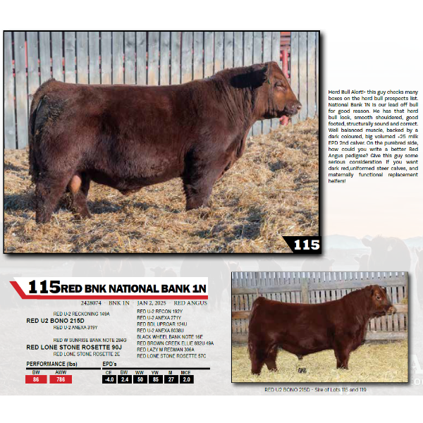 RED BNK NATIONAL BANK 1N 