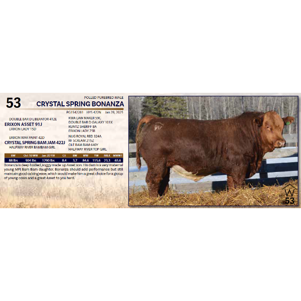  CRYSTAL SPRING BONANZA