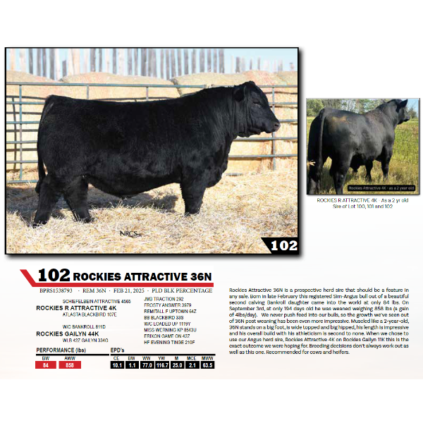 ROCKIES ATTRACTIVE 36N