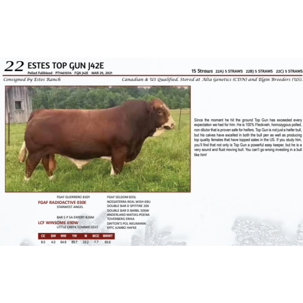 ESTES TOP GUN J42E - 5 STRAWS