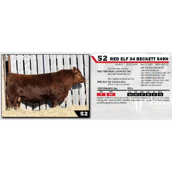 RED ELF 34 BECKETT 549N