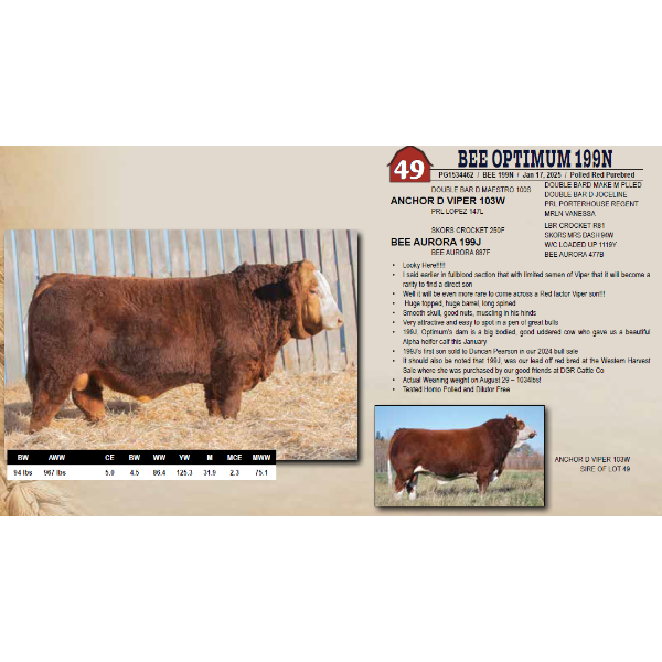 BEE OPTIMUM 199N