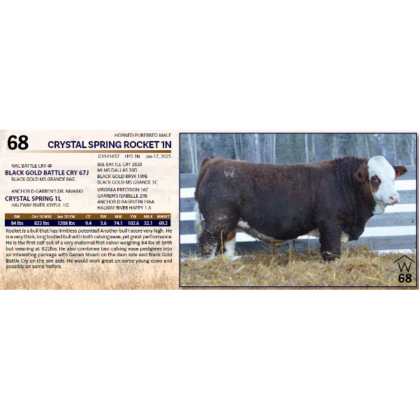 CRYSTAL SPRING ROCKET 1N 