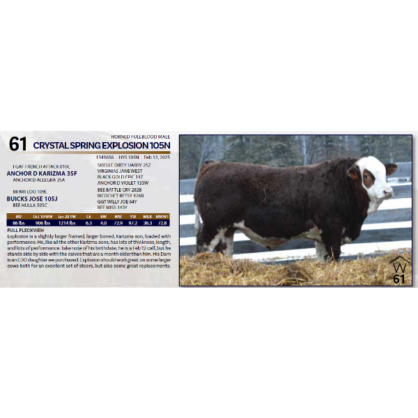 CRYSTAL SPRING EXPLOSION 105N 