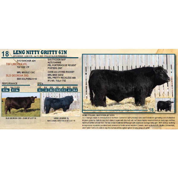 LENG NITTY GRITTY 67N