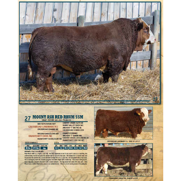 MOUNT ASH RED RHUM 55M