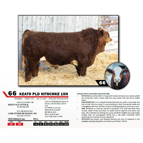 KEATO PLD NITSCHKE 15N