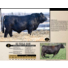 Image 1 : KZ Simmentals