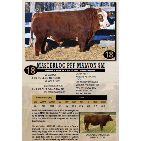 Masterloc Simmentals