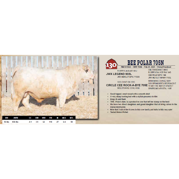 BEE POLAR 705N