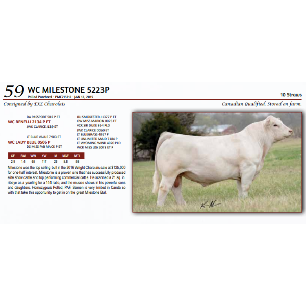 WC MILESTONE 5223P - 10 Straws 