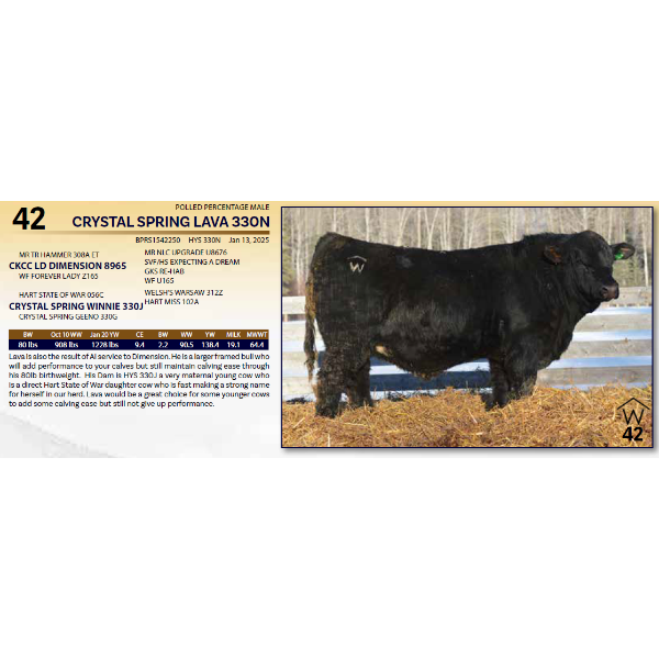 CRYSTAL SPRING LAVA 330N 