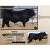 Image 1 : Diamond B Simmentals