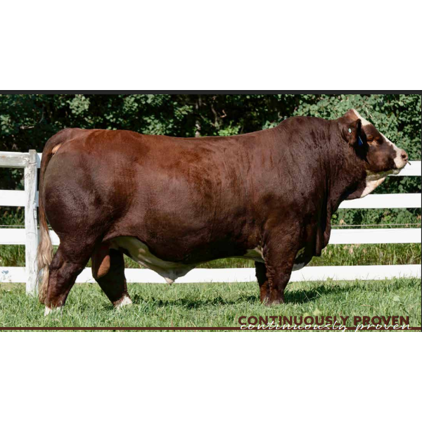 Beechinor Land & Livestock