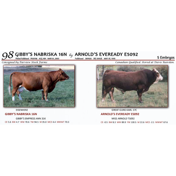 GIBBY’S NABRISKA 16N by ARNOLD’S EVEREADY E5092 - 5 Embryos 